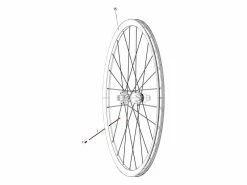 Sram Kit De 3 Rayons Pour Roam 40 / Rail 40